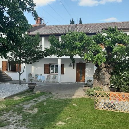Pensjonat Country House Gazon Šmarje Zewnętrze zdjęcie